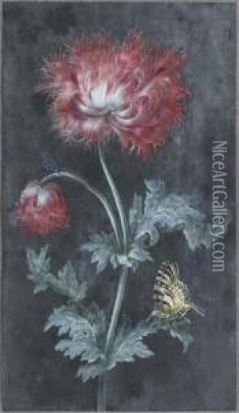 Branche De Fleurs Et Papillons Oil Painting - Christophe-Ludwig Agricola