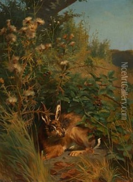 A Hare Hiding In A Bush Oil Painting - Adolf Heinrich Mackeprang