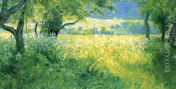 July Afternoon1 Oil Painting - Guy Rose