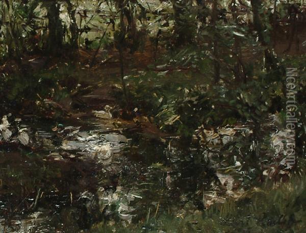 Ducks In A Pond. Oil Painting - Albert Roelofs