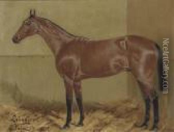 Sir T. Gallway's Leinster In A Stable Oil Painting - George Paice