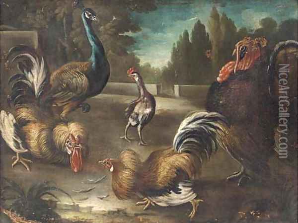 Cockerels, a peacock and turkey in a garden landscape Oil Painting - Giovanni Crivelli, Il Crivellone