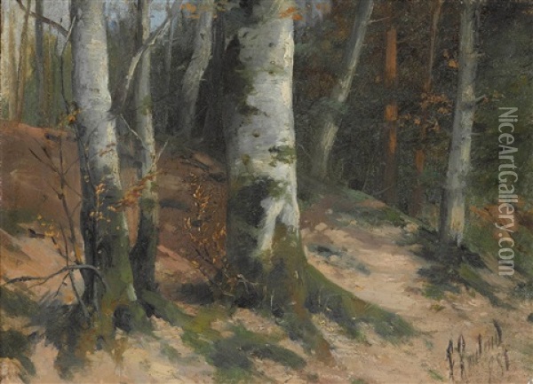 Birkenwald Oil Painting - Franz Roubaud