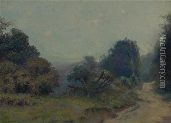 A Road In Marin Oil Painting - Charles Dorman Robinson