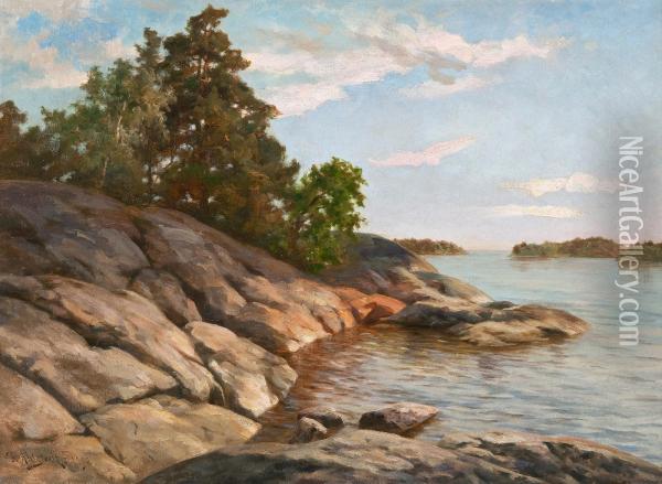 Shore Cliffs Oil Painting - Fredrik Ahlstedt