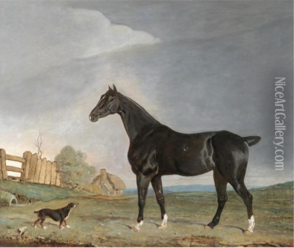 A Dark Bay Hunter And A Terrier In A Landscape Oil Painting - Edwin, Beccles Of Cooper