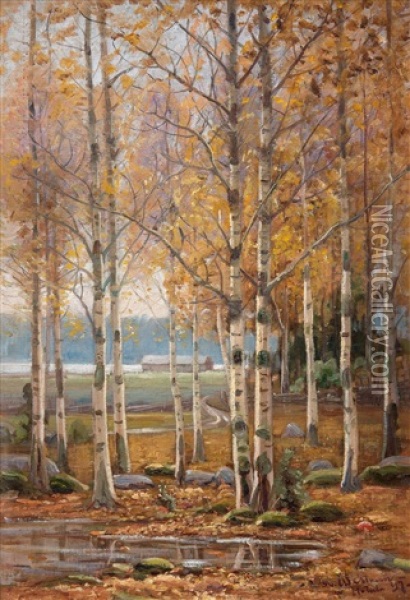 Birch Trees In Autumn Colors Oil Painting - Edvard (Edouard) Westman