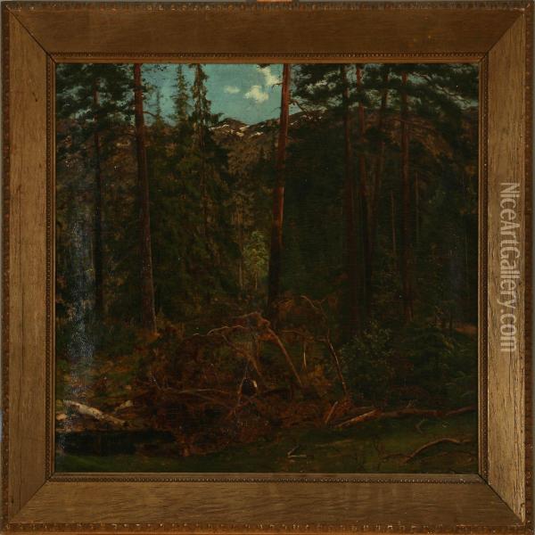 Forestscene From Norway Oil Painting - Hans Marius Wilhelm Lovaas