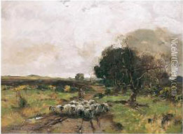 Minding The Flock Oil Painting - David Fulton