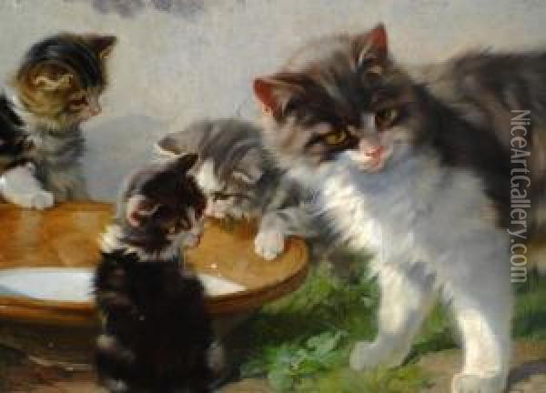 Katze Mit Ihren Jungen An Der Milchschussel Oil Painting - Julius Adam