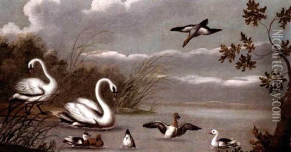 A River Landscape With Swans And Ducks Oil Painting - Pieter Casteels III