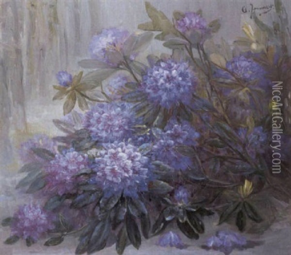 Rhododendrons Oil Painting - Clemence Jonnaert