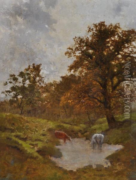 Cattle Watering In The Pond Oil Painting - Henry Earp