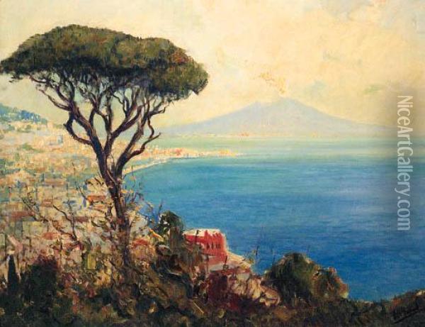 The Bay Of Naples With Vesuvius Beyond Oil Painting - Otto Hammel