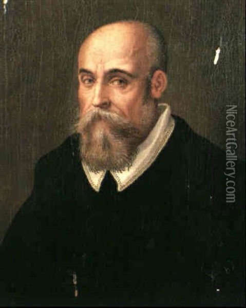 A Portrait Of A Bearded Man, Half Length, Wearing A Black   Jacket With A White Collar Oil Painting - Lavinia Fontana