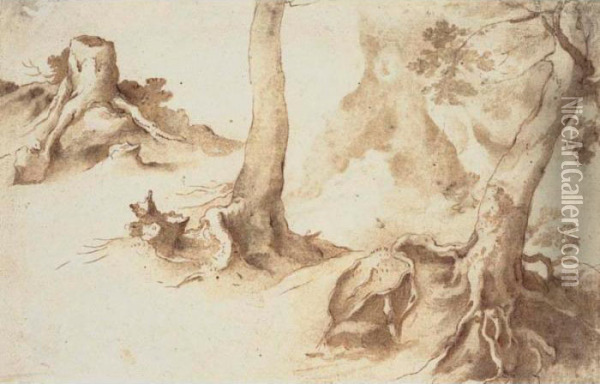 Recto And Verso: Studies Of Tree Trunks And Tree Stumps Oil Painting - Paulus Van Vianen