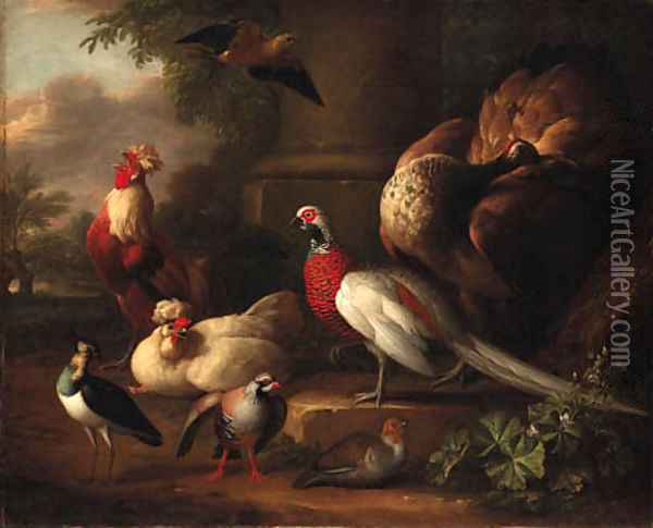 A peacock, a pheasant, a cockerel and other birds in a landscape Oil Painting - Aert Schouman