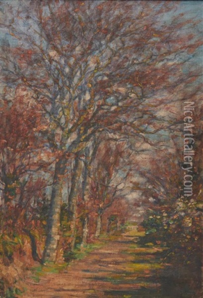 Tree Lined Lane Oil Painting - Aloysius C. O'Kelly