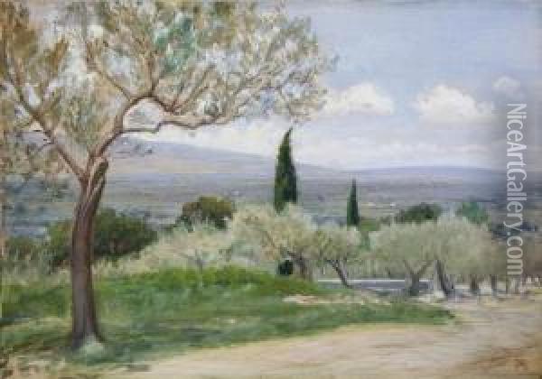 Paesaggio Collinare Con Ulivi Oil Painting - Napoleone Parisani