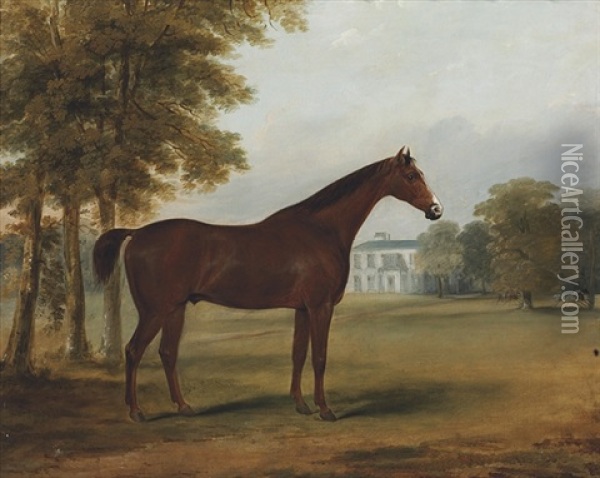 "dandy," A Bay Hunter In The Grounds Of Sheephill, Castlenock, Co. Dublin Oil Painting - William Brocas
