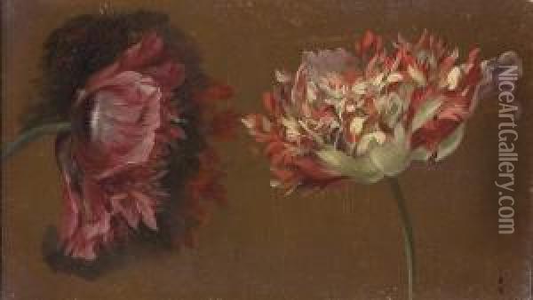 Deux Fleurs De Pavot Roses Et Blanches Oil Painting - Pancrace Bessa