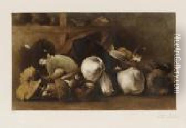 Muschrooms (svampe) Oil Painting - Peder Vilhelm Ilsted