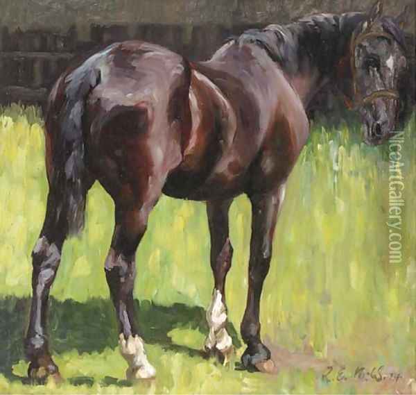 A horse in a paddock Oil Painting - English School