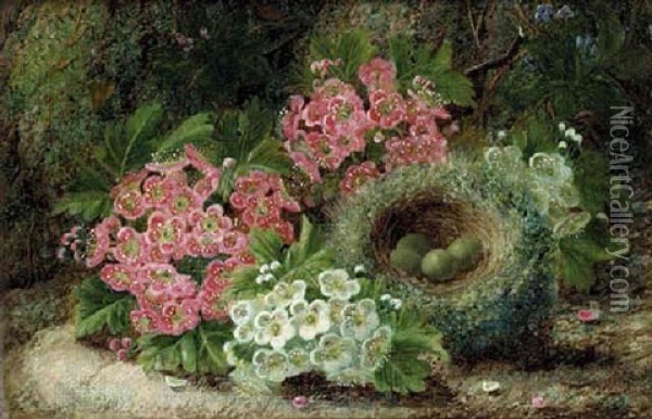 Blossom And A Bird's Nest With Eggs, On A Mossy Bank Oil Painting - Oliver Clare