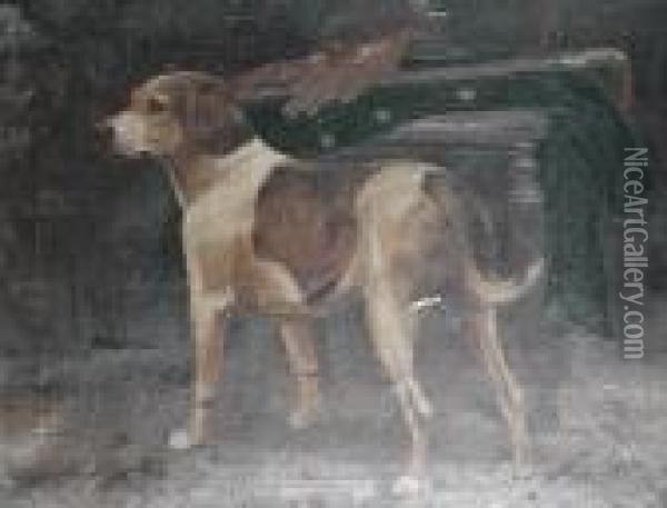 An Foxhound In An Interior Oil Painting - William Osborne