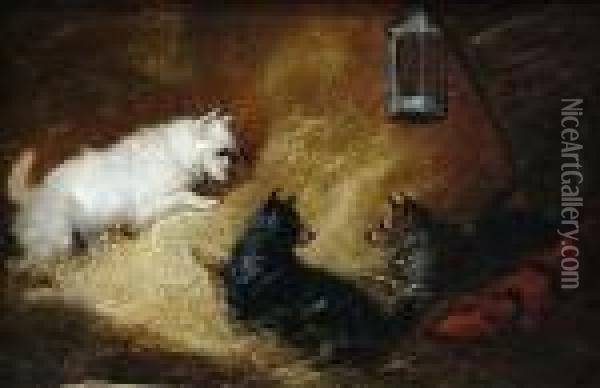 Three Terriers In A Stable Oil Painting - George Armfield