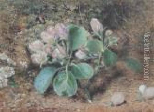 Still Life Of Apple Blossom Oil Painting - William Henry Hunt