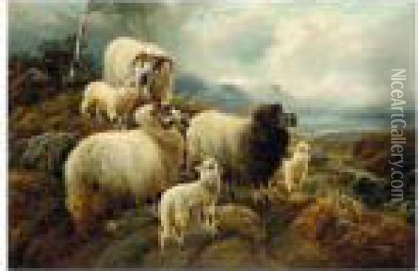 Sheep In A Highland Landscape Oil Painting - Robert Watson