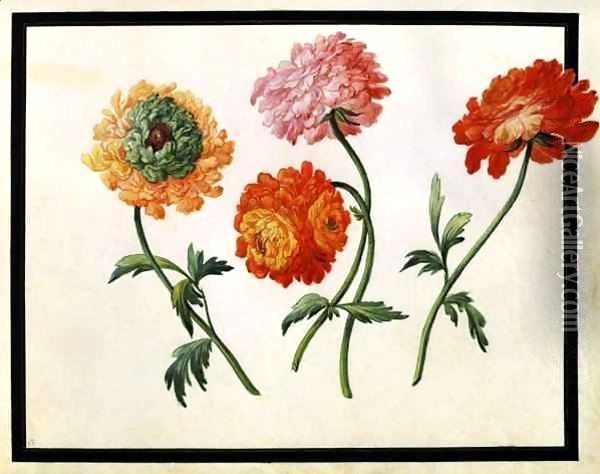 Chrysanthemums Oil Painting - Claude Aubriet