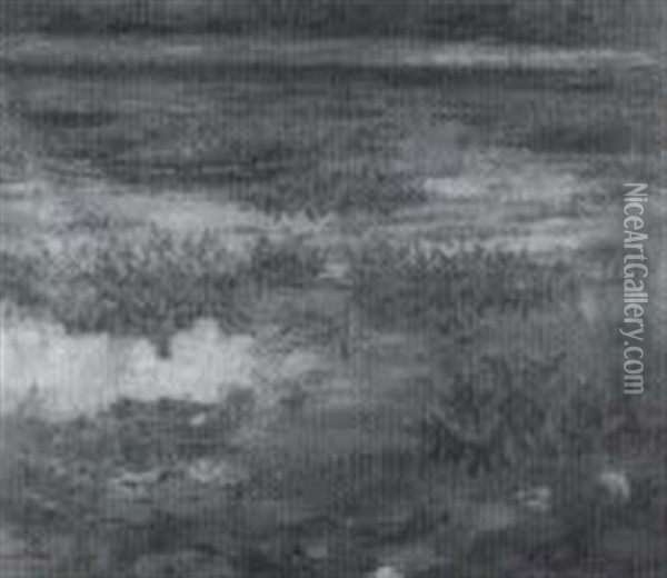 Nenuphars Et Lac Oil Painting - Mary Ella Dignam
