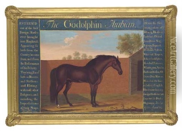 The "godolphin" Arabian Oil Painting - Thomas Butler