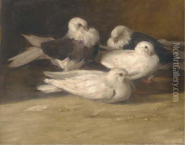 Doves Oil Painting - Mariska Bukkerti
