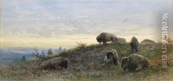 Buffalo Oil Painting - Frederick Arthur Verner