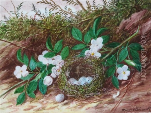 Bird's Nest With Flowers Oil Painting - William Cruickshank
