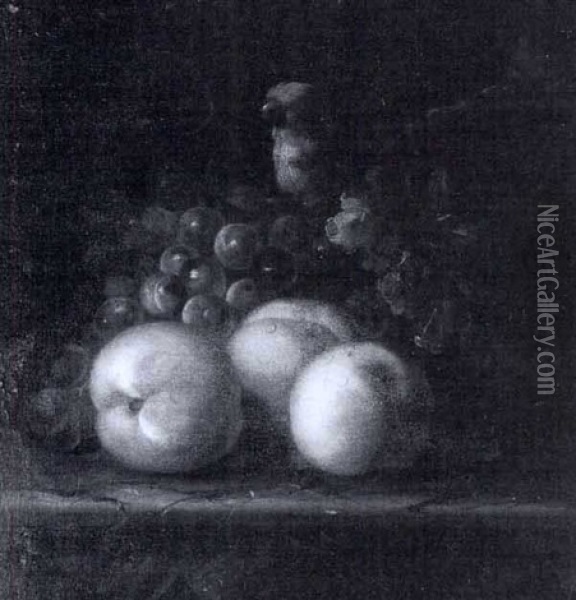 Peaches, Grapes And A Parrot On A Ledge Oil Painting - Jakob Bogdani