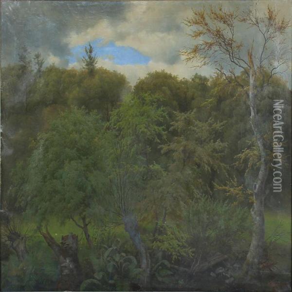 A Spring Forest Oil Painting - Heinrich Buntzen