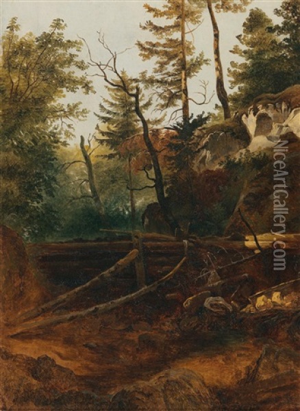 The Weir At The Posteldamm Oil Painting - Friedrich Gauermann