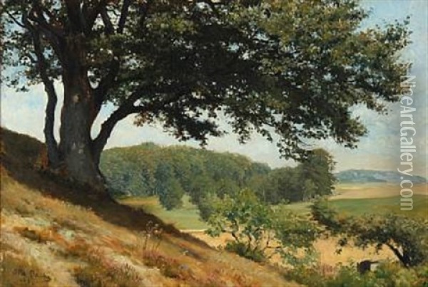 Hilly Danish Summer Landscape Oil Painting - Otto Bache