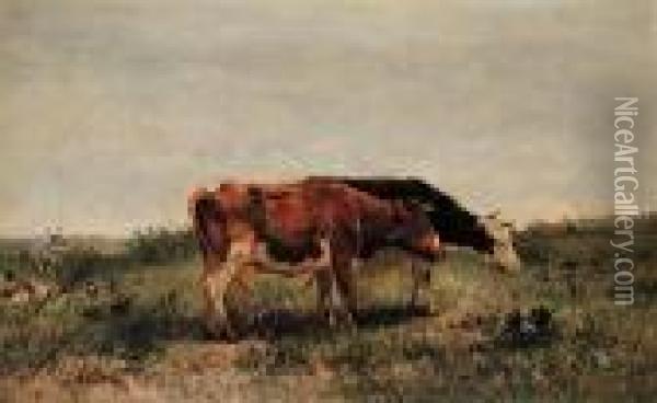 Untitled - Contented Cows Oil Painting - Anton Mauve