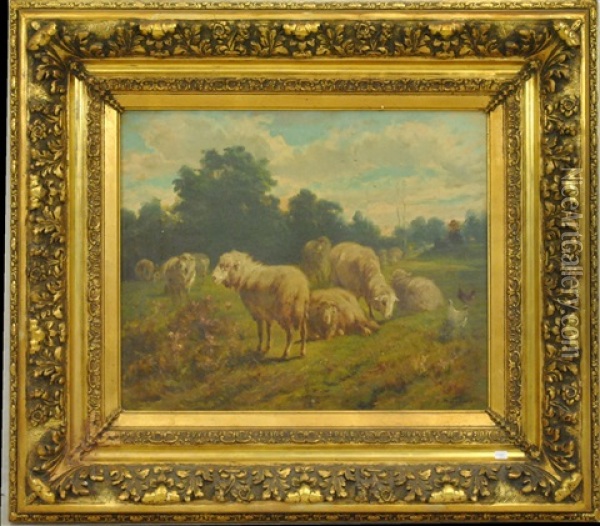 Moutons Au Pre Oil Painting - Francois Backvis