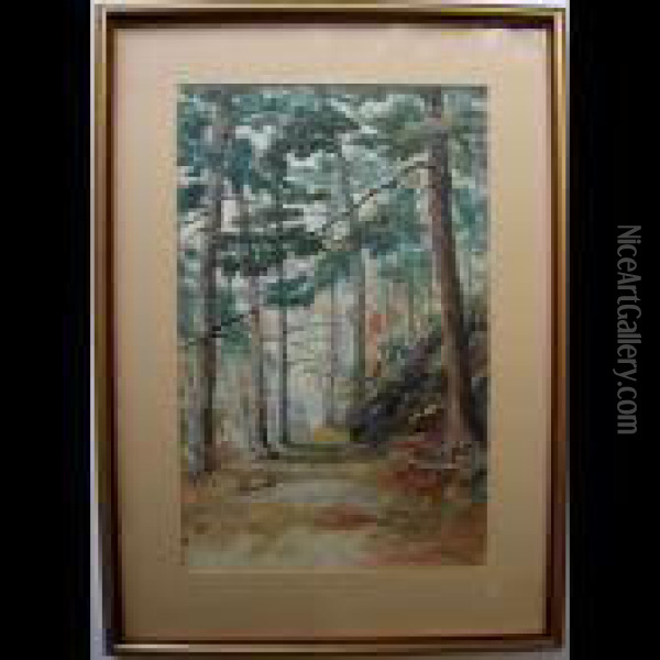 Sunlit Woodland Path Oil Painting - Thomas Harrison Wilkinson