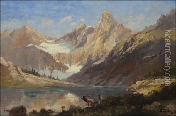 Elk In Glacier Park Oil Painting - John Fery