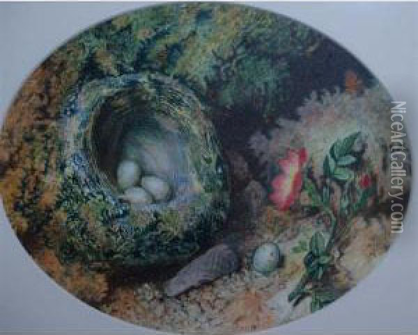 Still Life With Bird's Nest Oil Painting - Charles Franklin Pierce