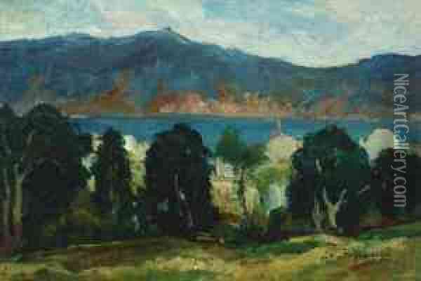 Landscape Frommaroc (the Bin Elouidane Lake) Oil Painting - Stefan Popescu
