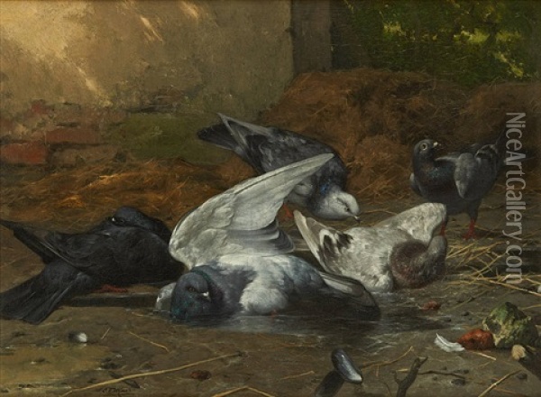 Les Pigeons Au Bain Oil Painting - Eugene Remy Maes