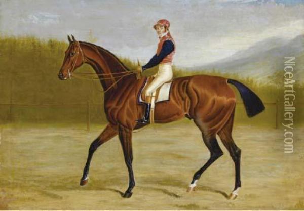 Racehorse With Jockey Up Oil Painting - John Frederick Herring Snr